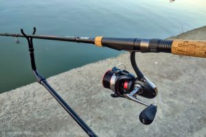 Match Rod canna inglese