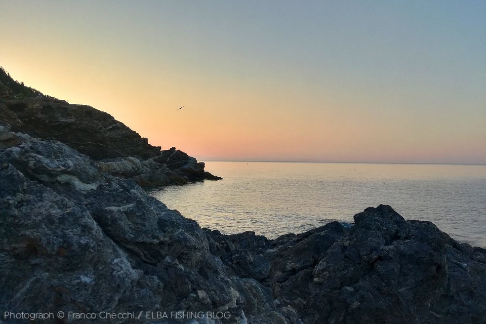 BLOG-IMG_20190618_055720 Scogliera alta
