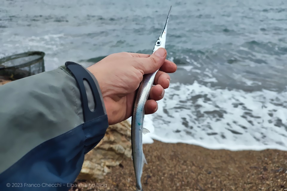 Pesca a bolognese dalla spiaggia