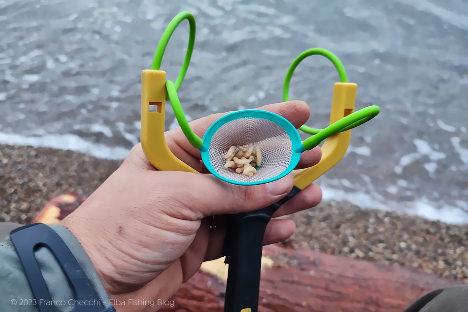 Pesca a bolognese dalla spiaggia